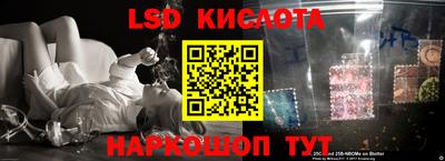 тгк Новозыбков