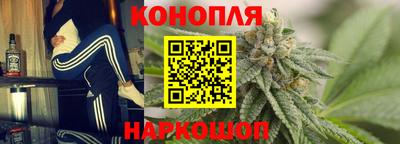 тгк Новозыбков