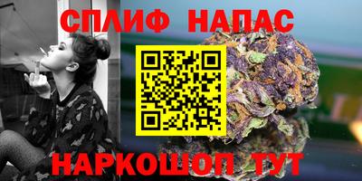 тгк Новозыбков