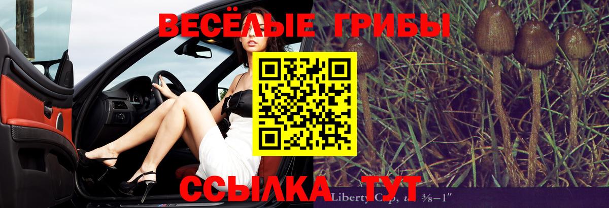 Псилоцибиновые грибы мицелий Сергиев Посад